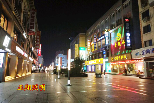 城市街道LED景观灯