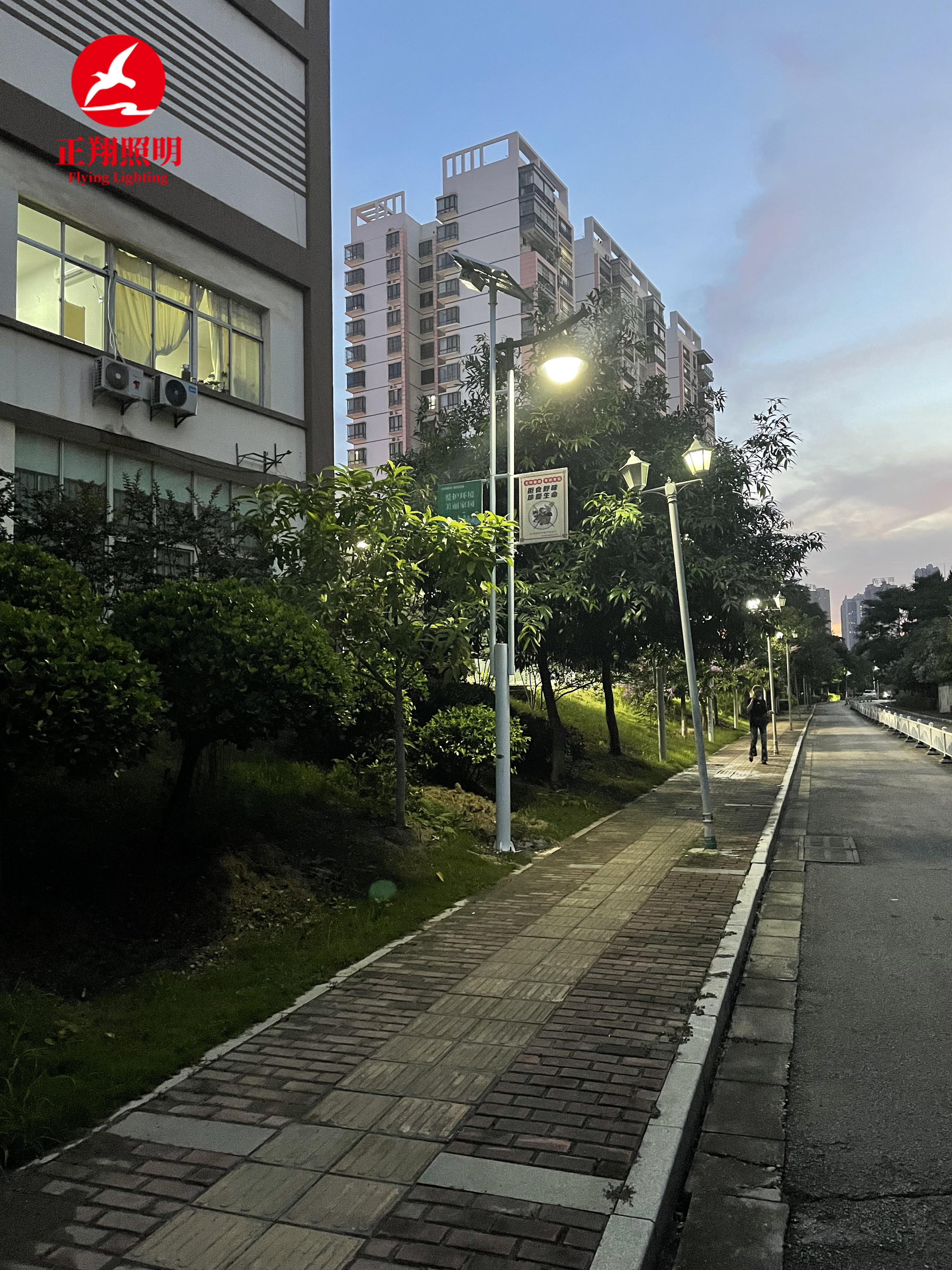 广东太阳能路灯工程案例