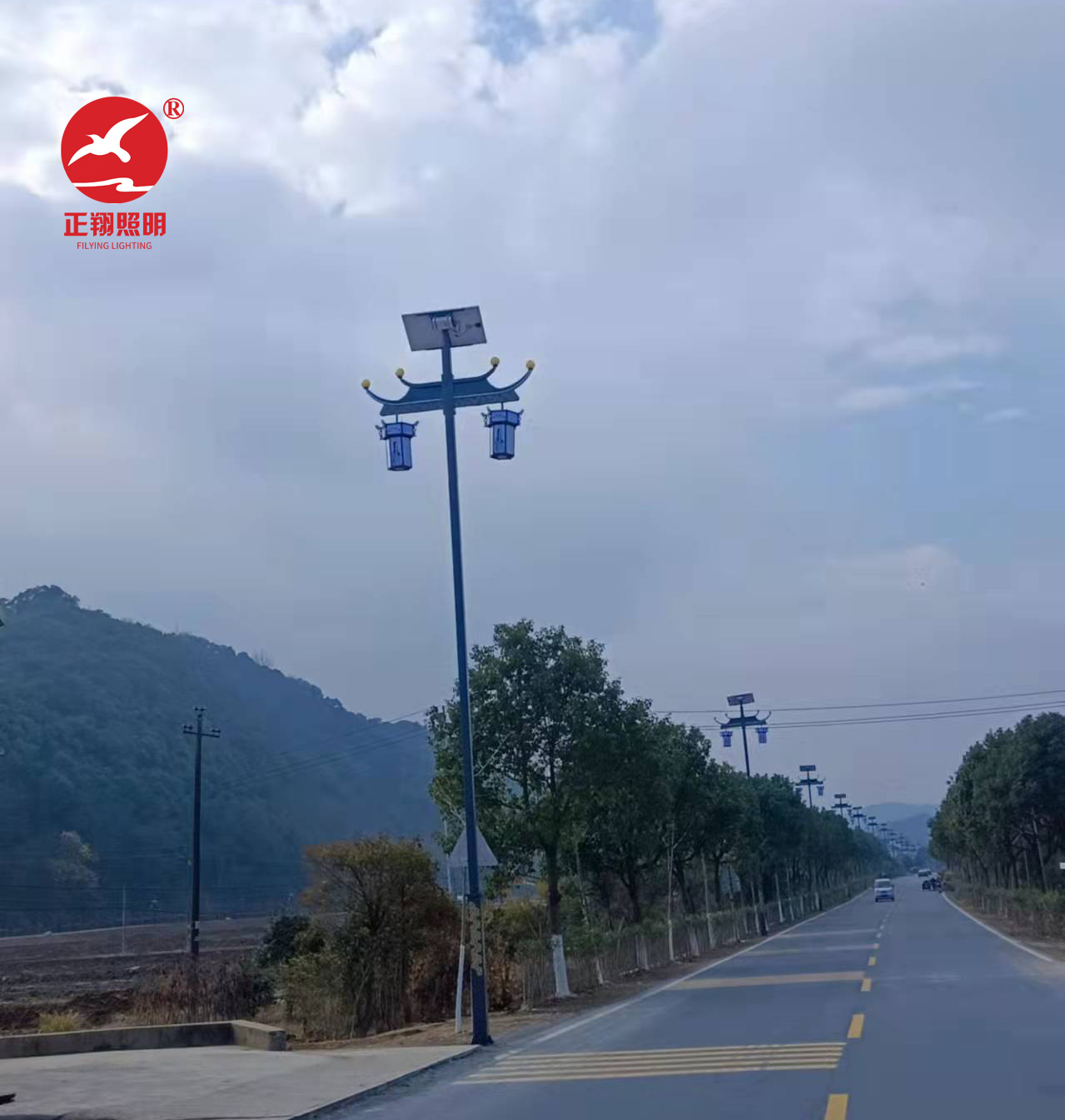 江西九江复古双头10米太阳能路灯工程案例