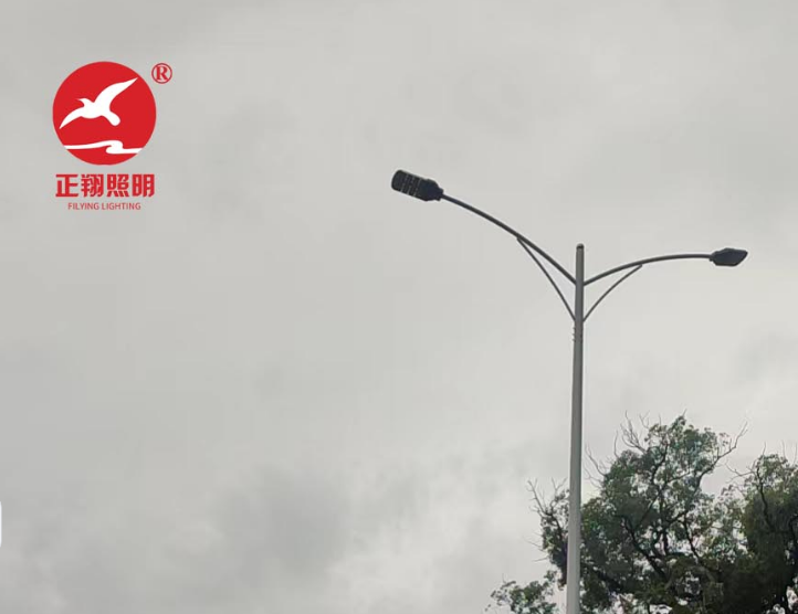 深圳双臂市电路灯工程案例