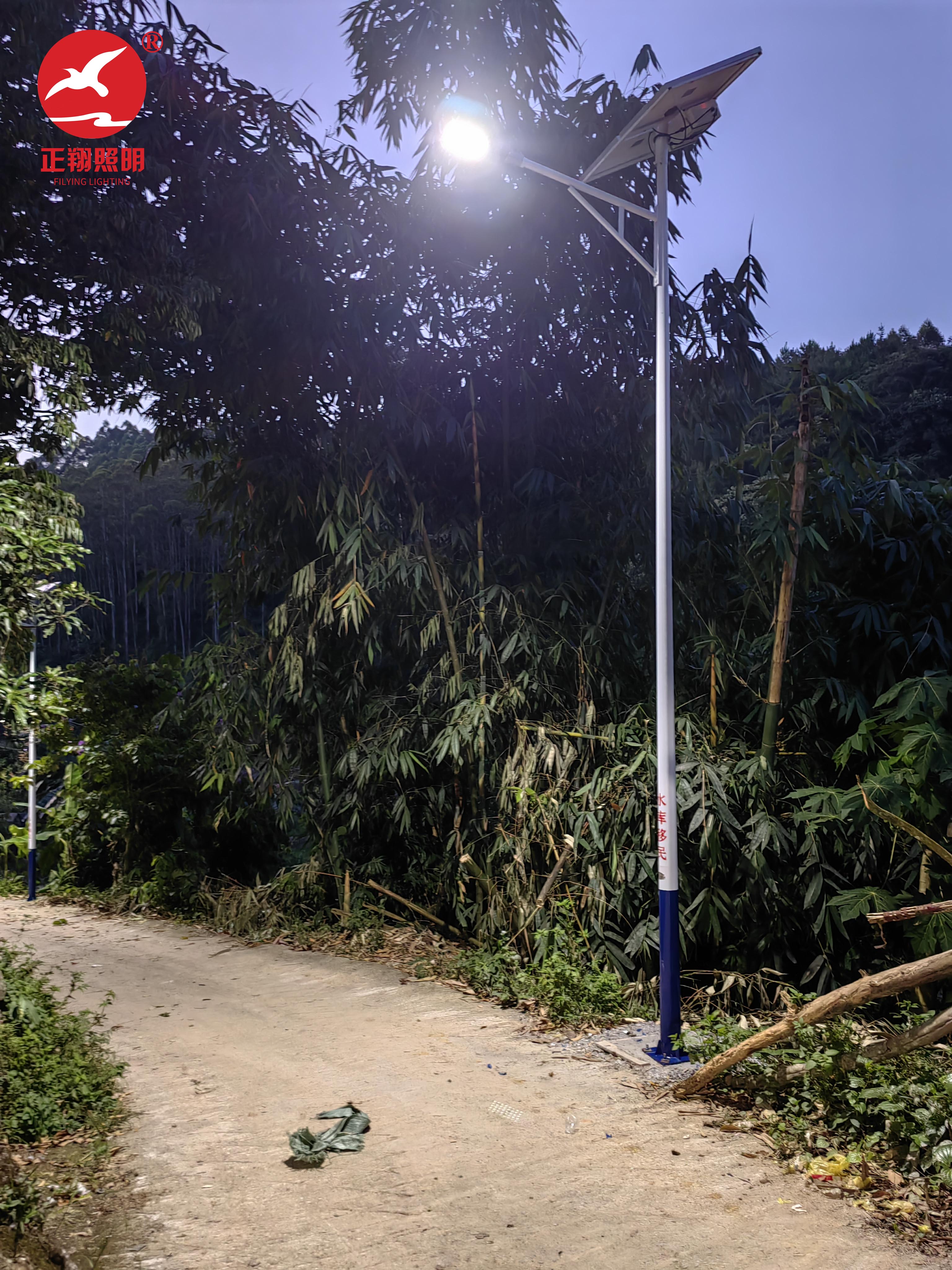 广西平果市太阳能路灯项目案例