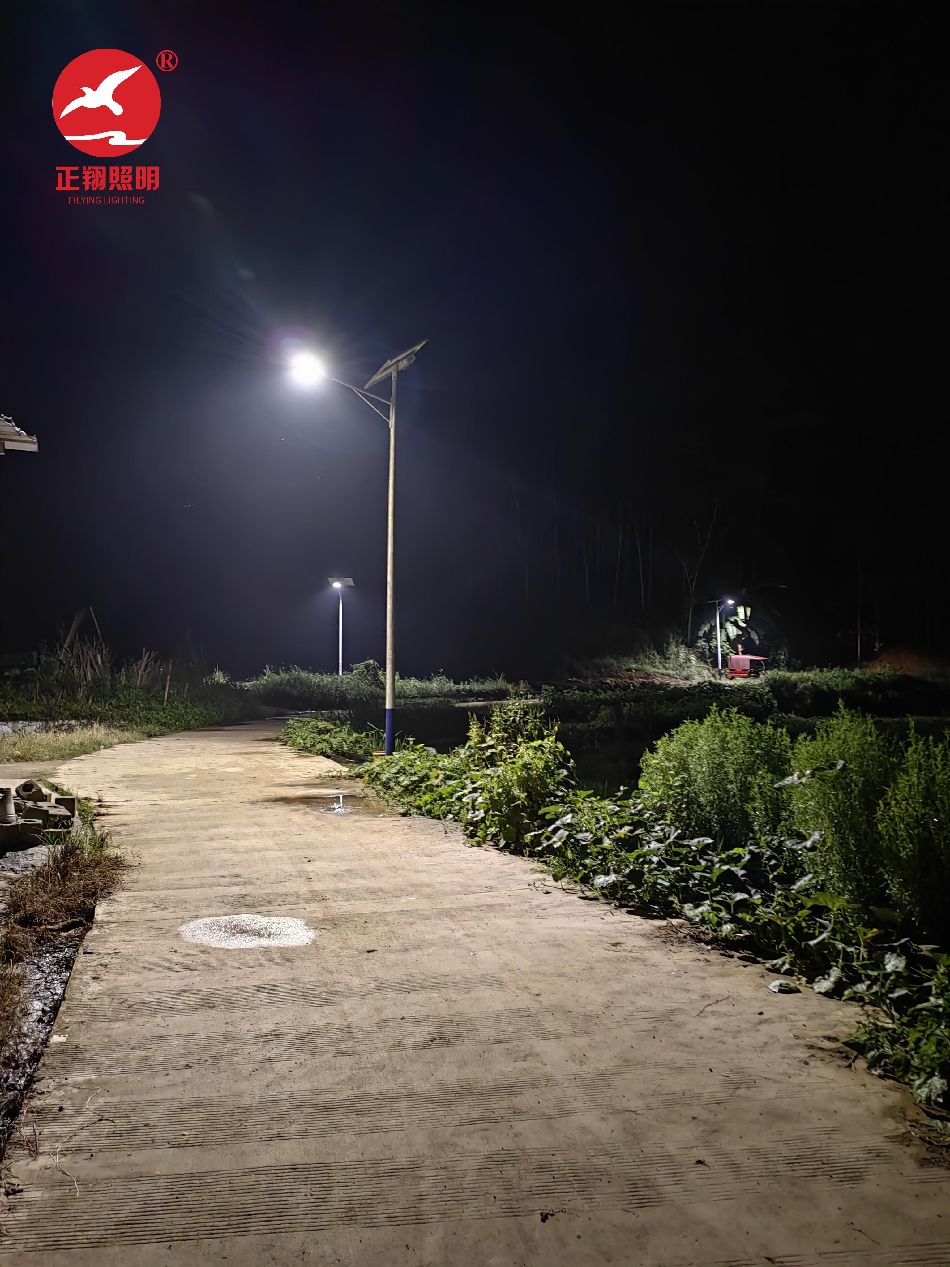 广西平果市太阳能路灯项目案例