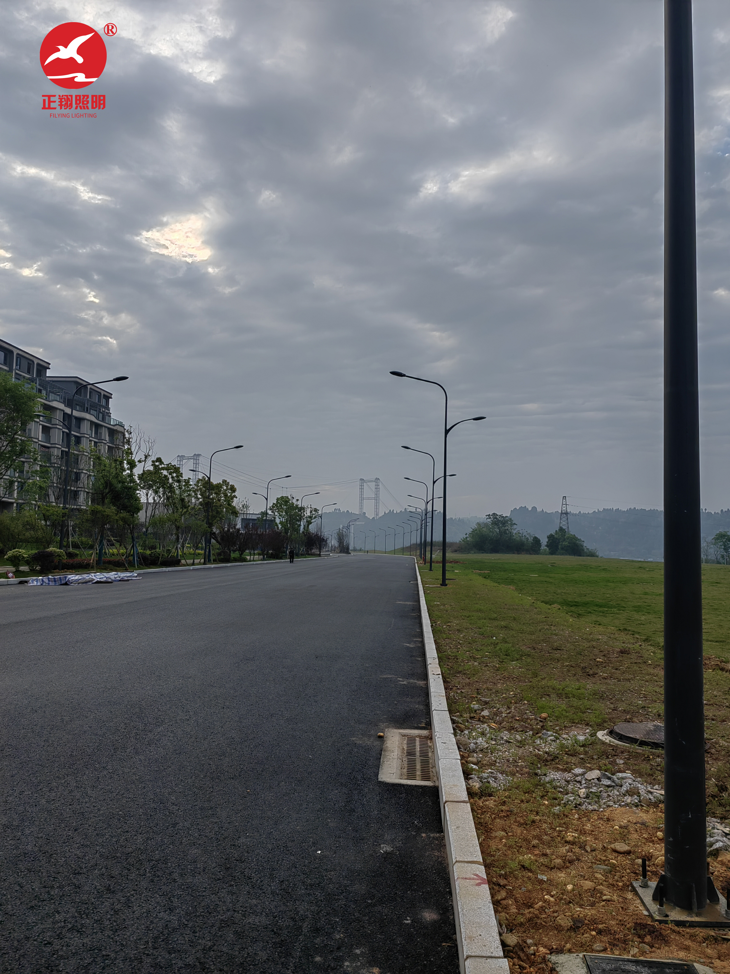 重庆高低臂路灯工程项目案例