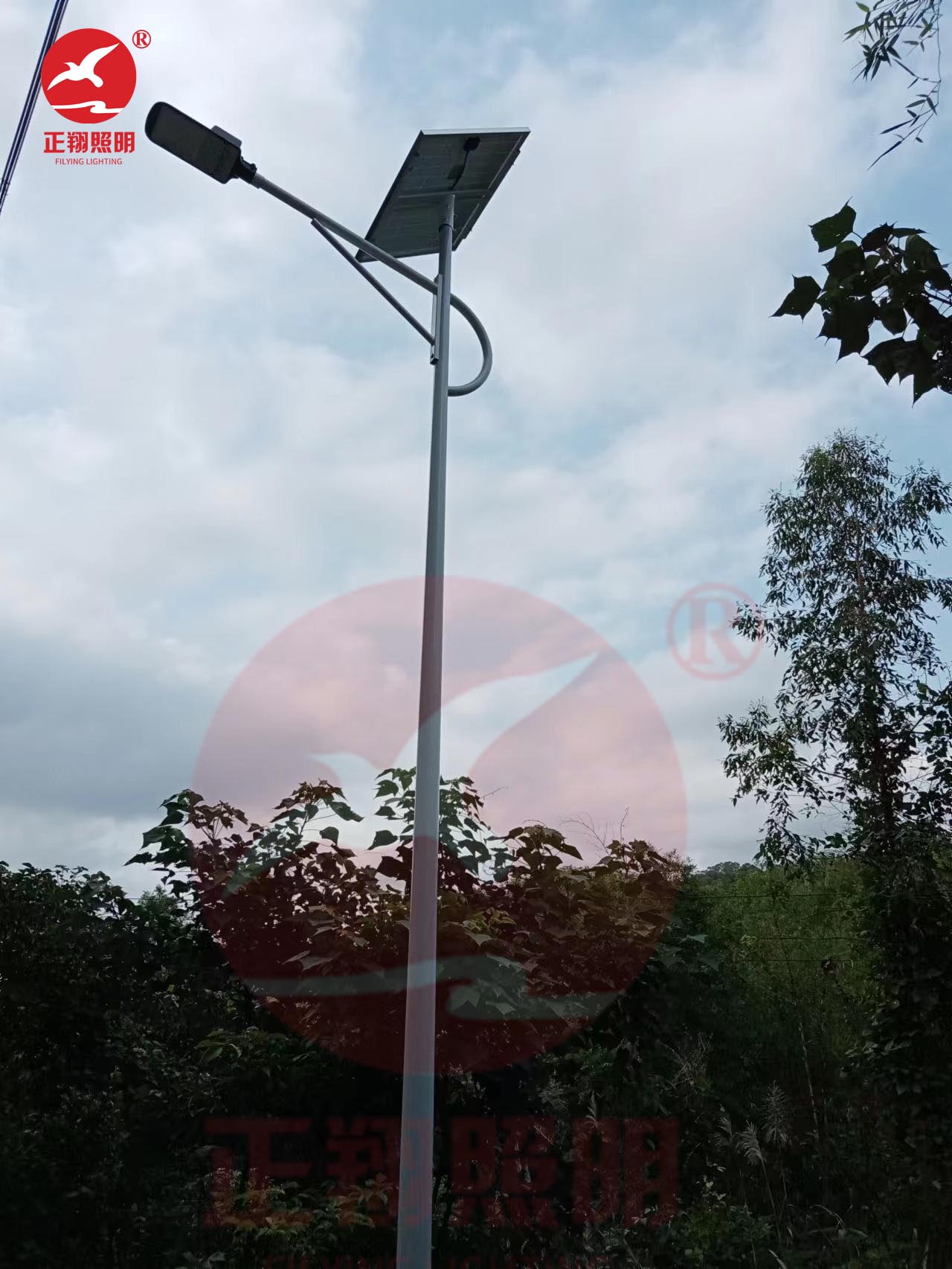 惠州博罗县太阳能路灯工程案例