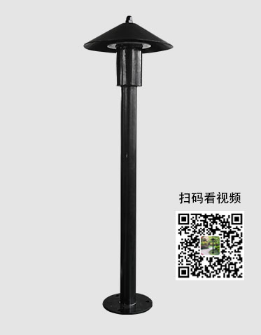 LED草坪灯ZX-CPD050
