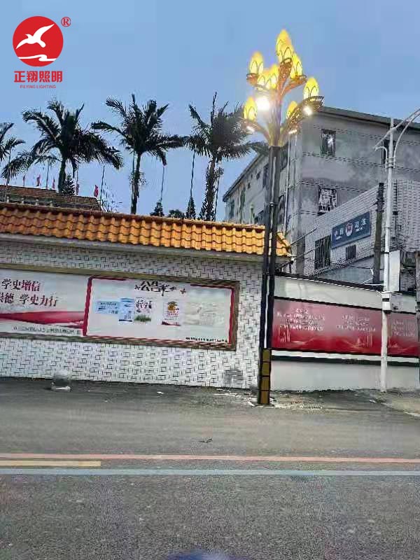 广东省汕尾市陆丰市潭西镇单臂6米led路灯工程案例