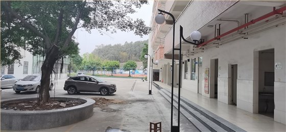学校庭院灯
