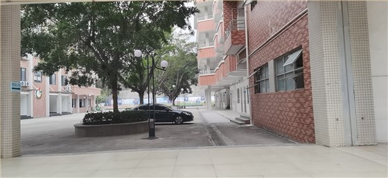 学校庭院灯