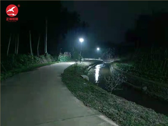海南庭院灯工程亮灯案例
