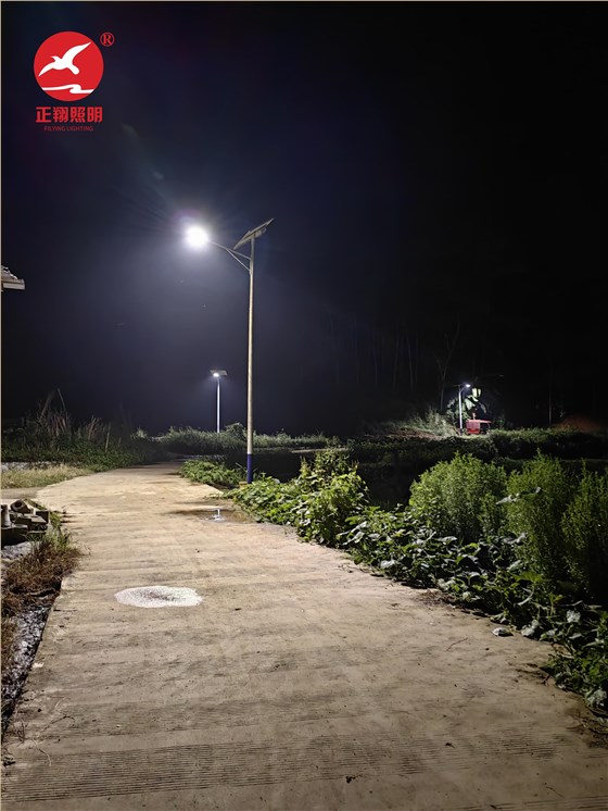 广西平果市太阳能路灯项目案例