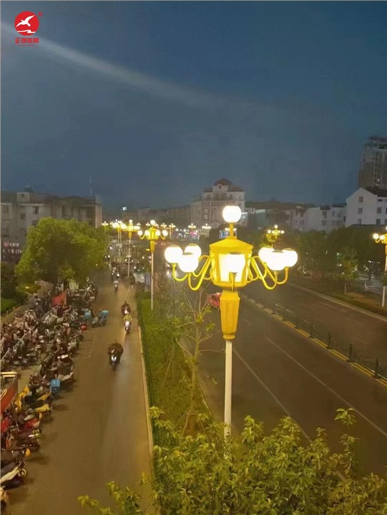 城市道路中华灯工程案例