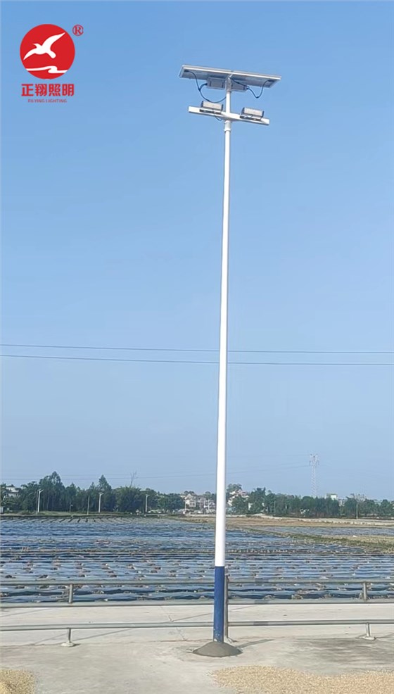 广东江门太阳能球场灯工程案例