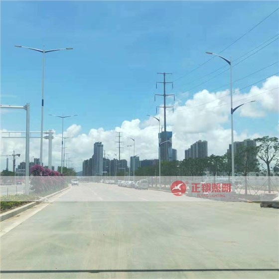 户外双臂路灯工程案例