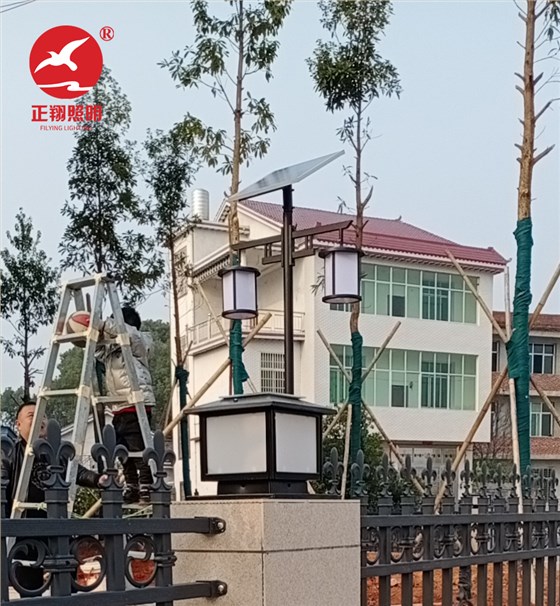 中式庭院灯工程案例