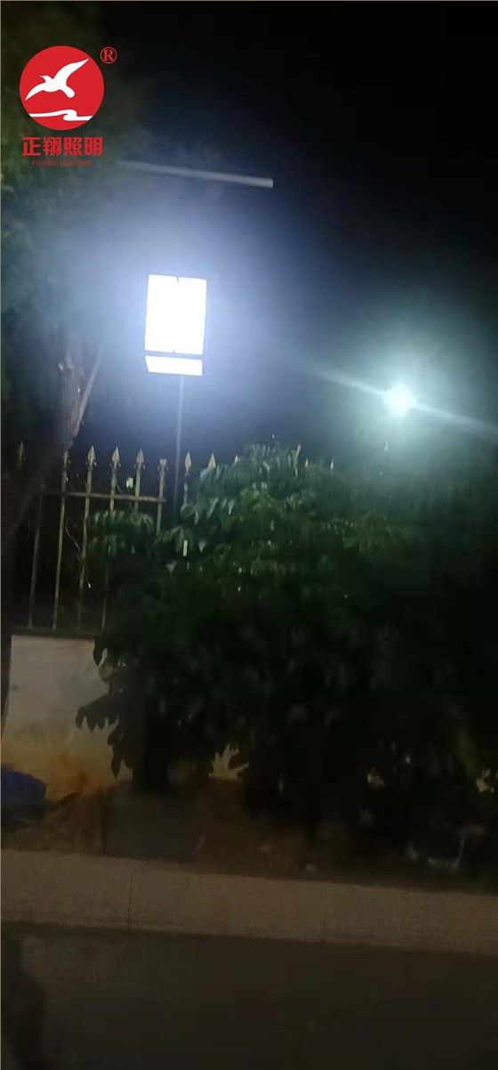 太阳能庭院灯工程案例