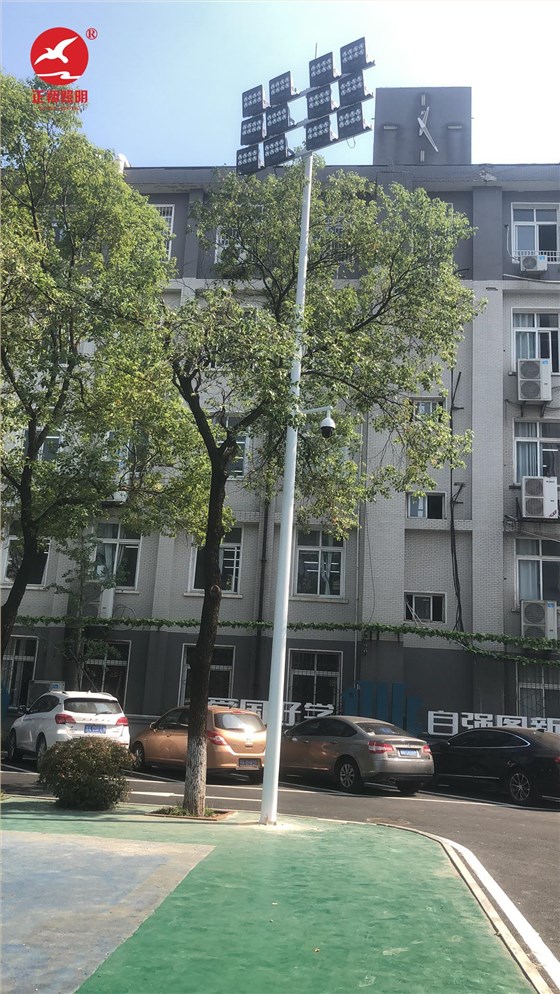 武汉外国语学校球场灯案例分享