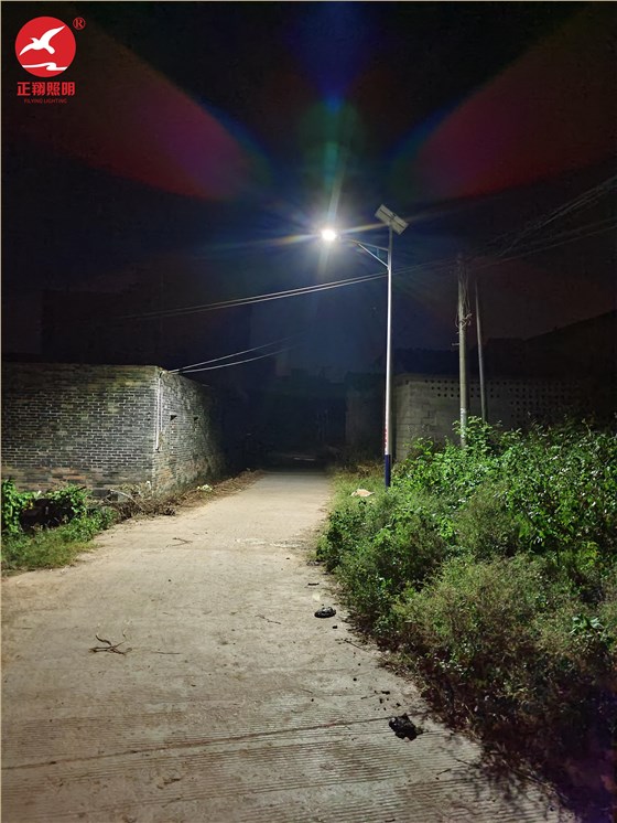 广西桂平乡村太阳能路灯项目案例
