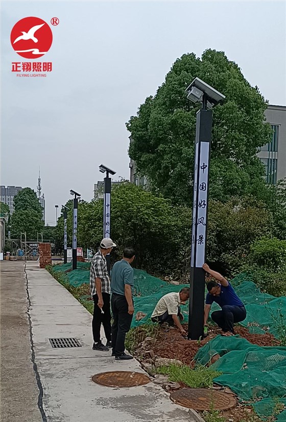 湖南长沙景观灯工程案例