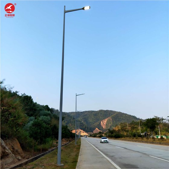 河源紫金县355国道市电路灯工程案例
