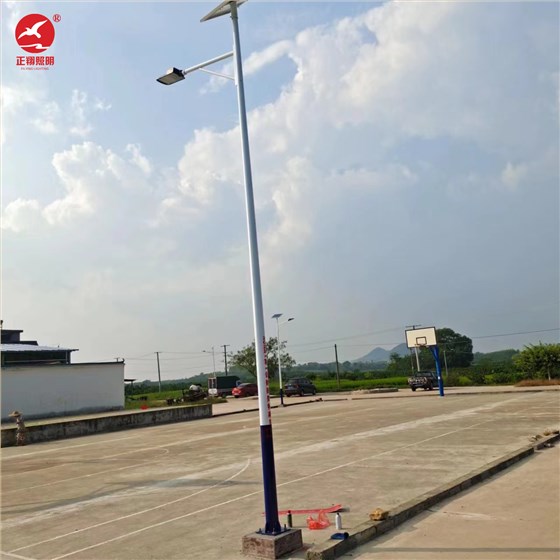 太阳能路灯工程案例