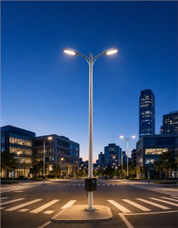 单灯控制器路灯ZX-001