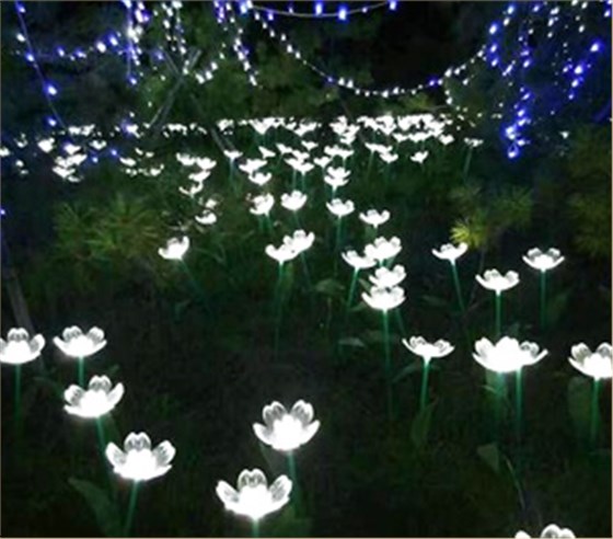 LED光纤灯ZX1301应用图1