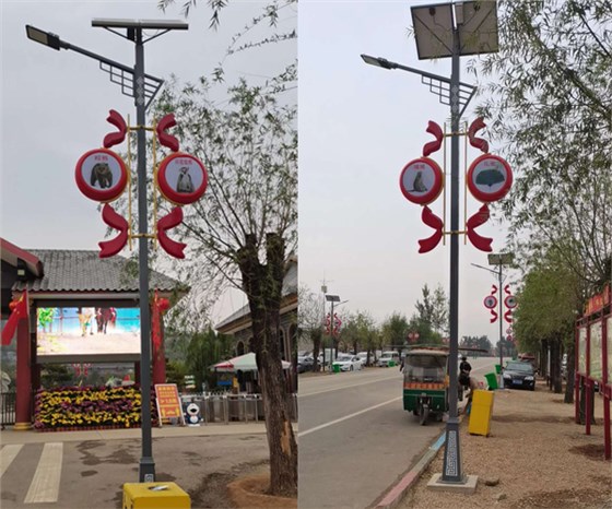山东省小镇特色太阳能路灯工程案例