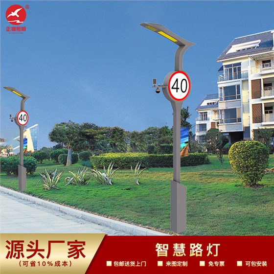 智慧路灯定制
