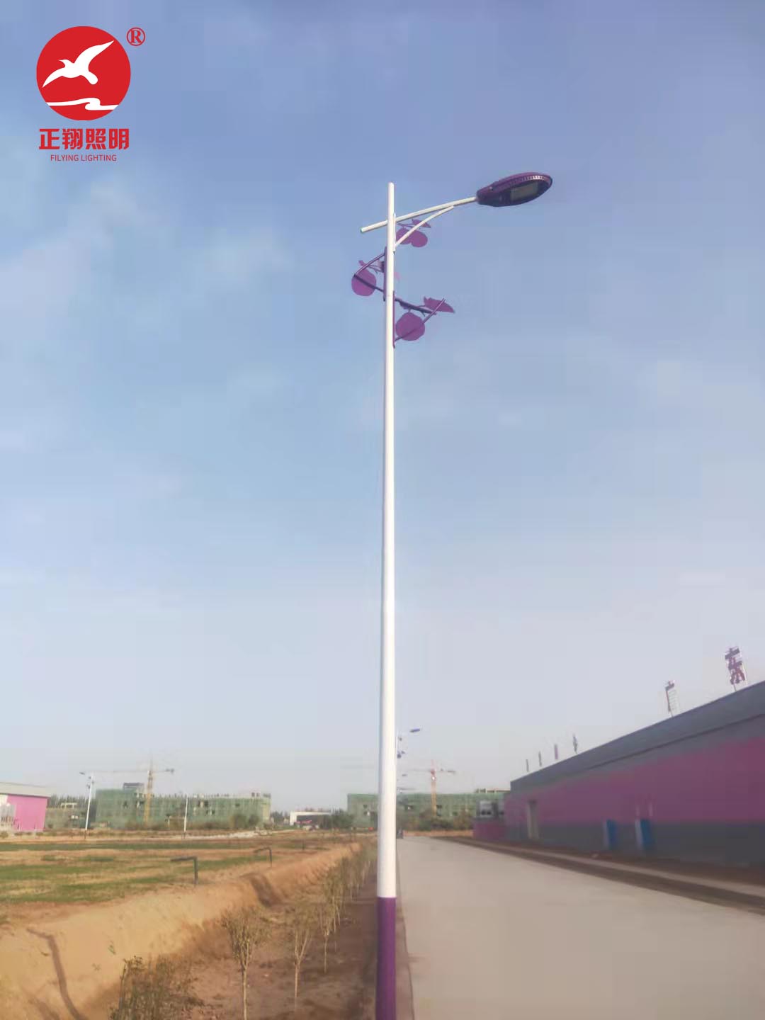 乡村太阳能路灯