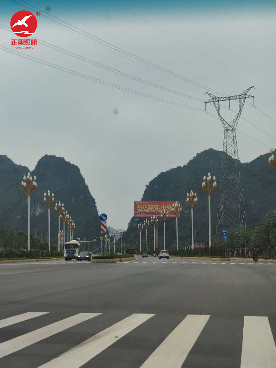 广西壮族自治区玉兰灯工程案例