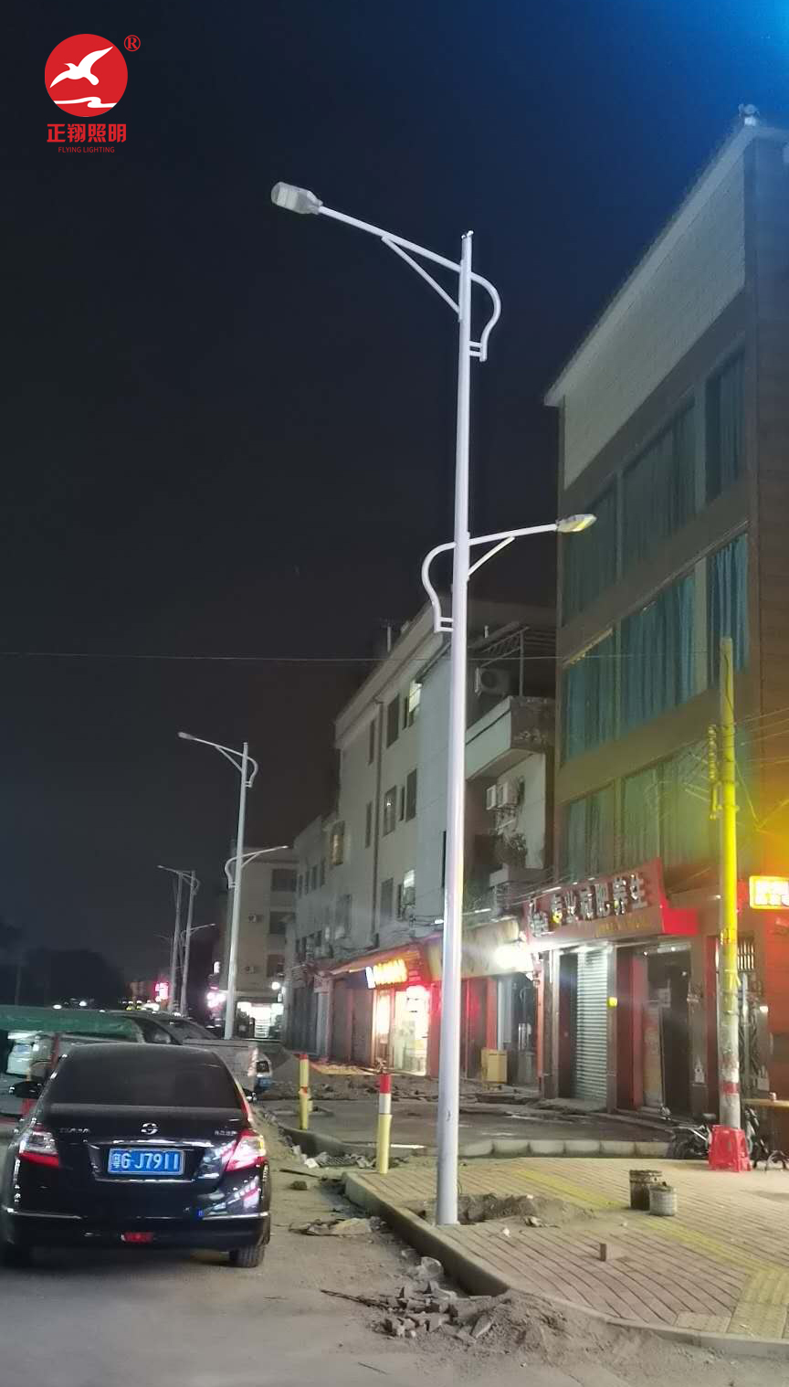 广东佛山高低臂市电路灯工程案例