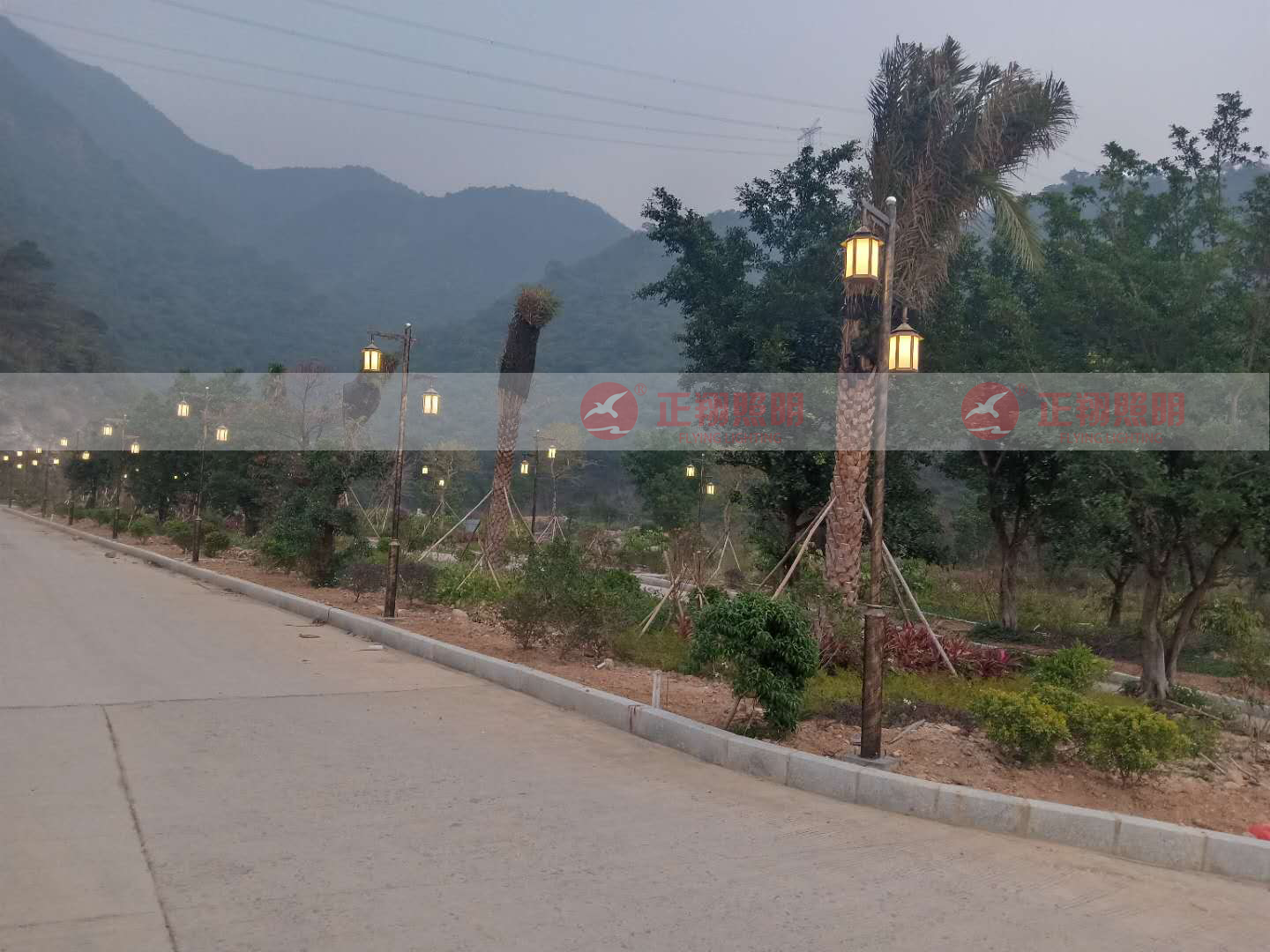广东省-清远市-黄腾峡生态旅游区(东城街石板村-庭院灯