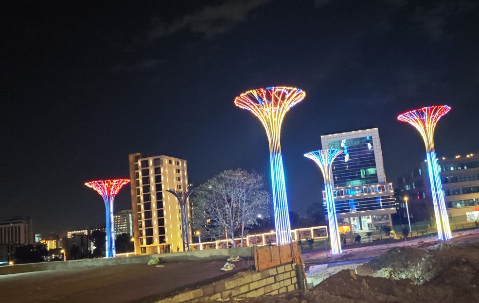 埃塞俄比亚景观亮化灯具工程项目