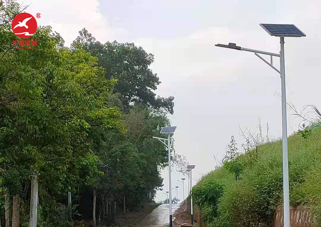 广东省阳江市太阳能路灯项目案例分享