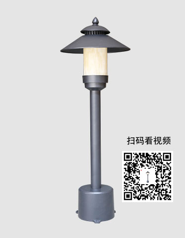 LED草坪灯ZX-CPD056