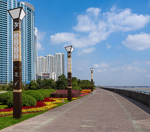 景观灯ZX-JGD066