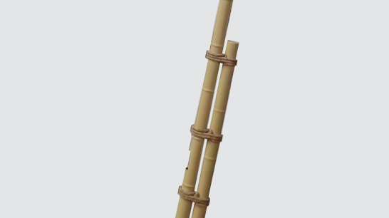 LED景观灯ZX-JGD131