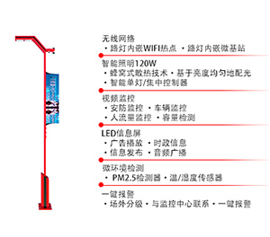 智慧路灯ZX1400应用图1