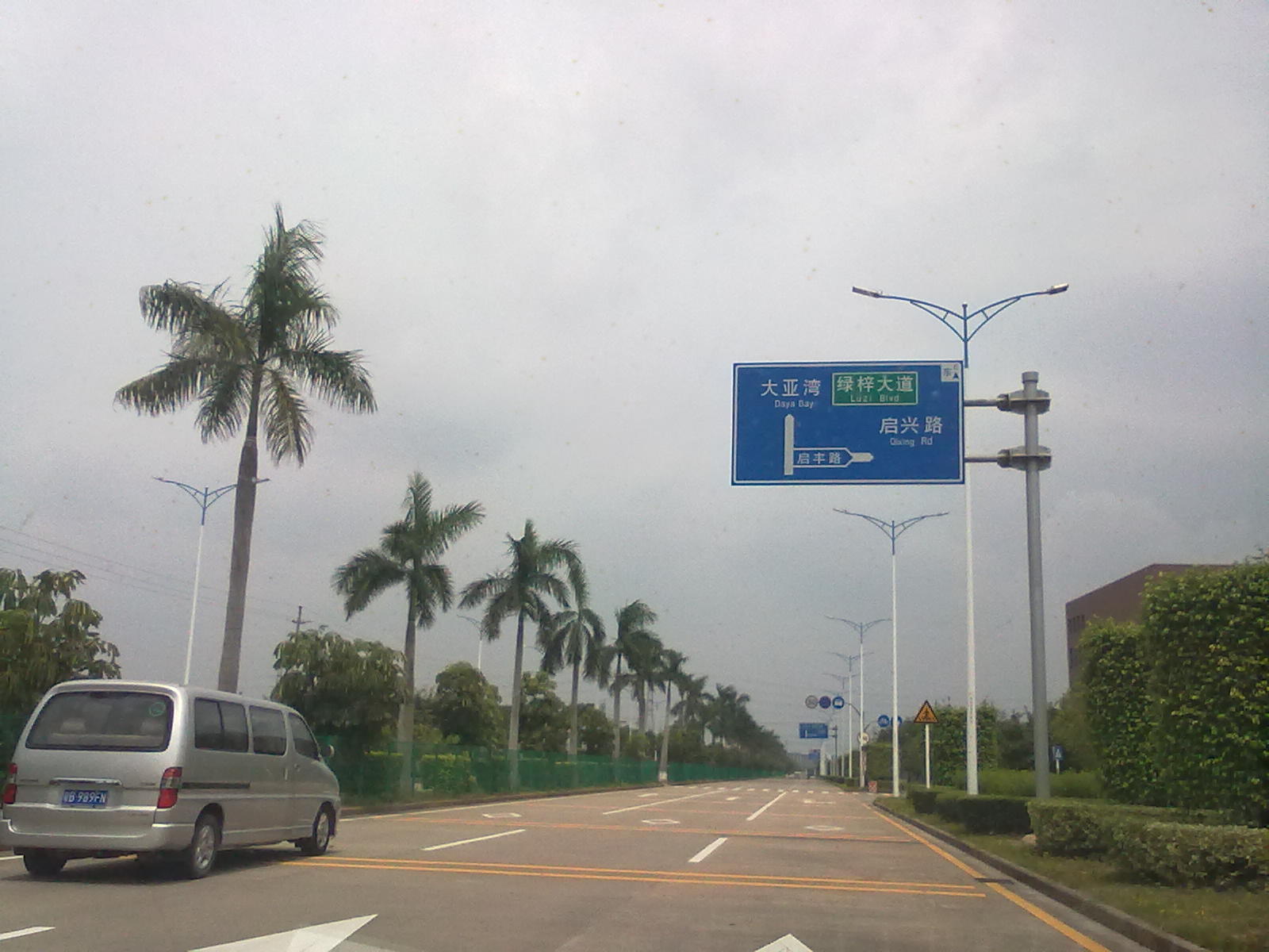 广东省-惠州市-大亚湾路灯工程-LED路灯案例 (2)